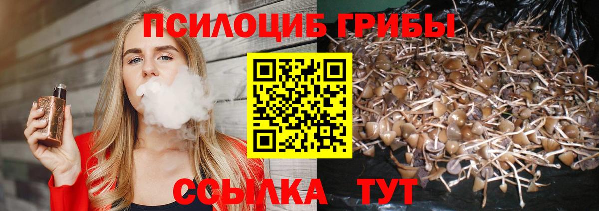 Галлюциногенные грибы мухоморы Шелехов